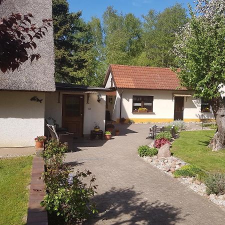 Ferienwohnung Schuhsterhus am Bodden Bartelshagen  Exterior foto